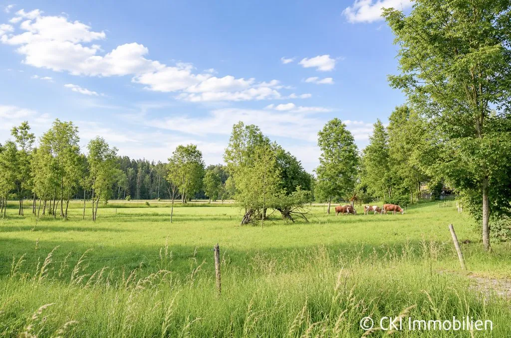 Immobilienangebot - Münsing - Alle - Nähe Starnberger See! Wohnhaus mit 2 vermieteten Wohneinheiten auf großem, sonnigen Grundstück